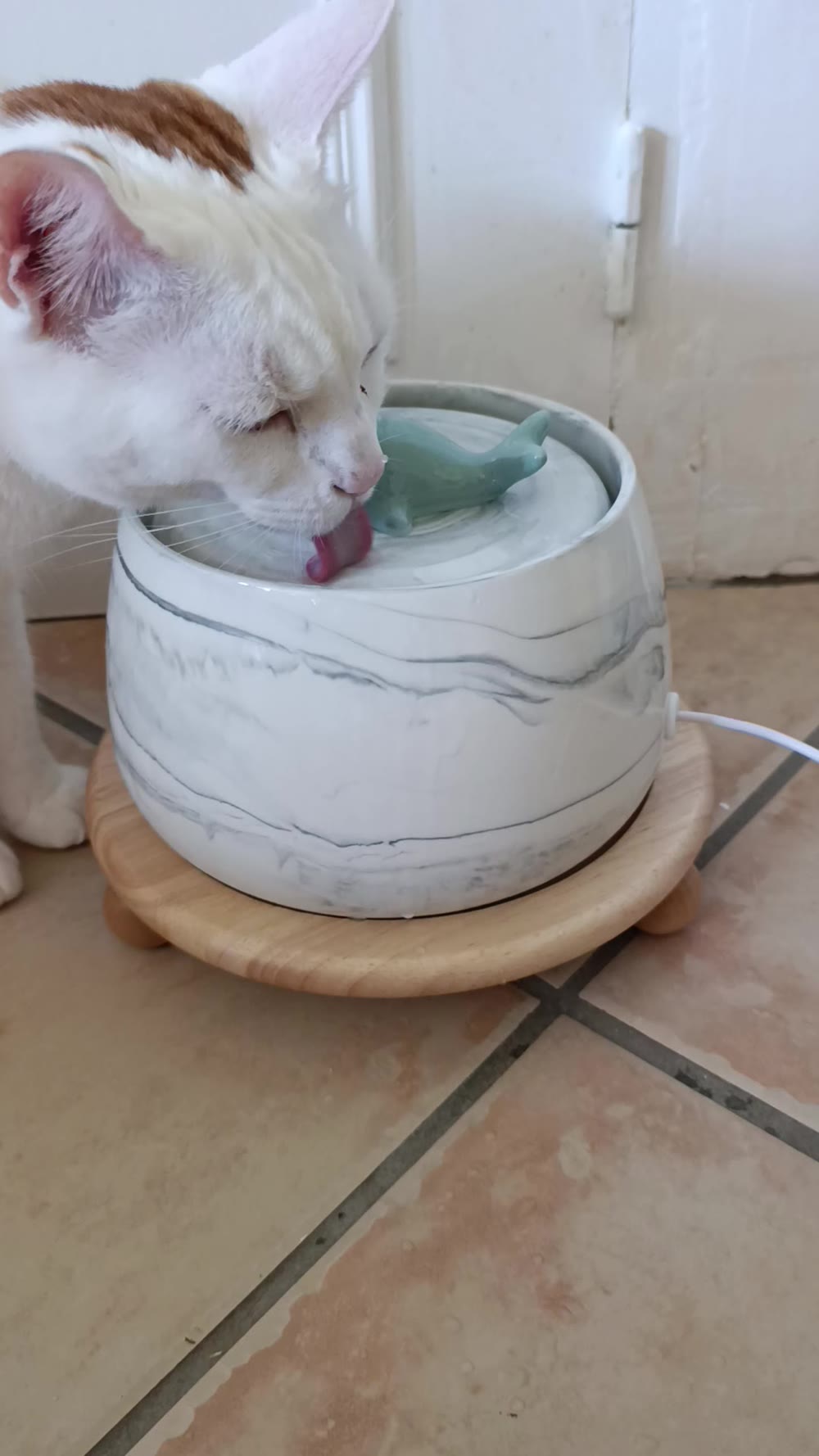 Un chat boit à la fontaine céramique COSYFUR, finition Marbre