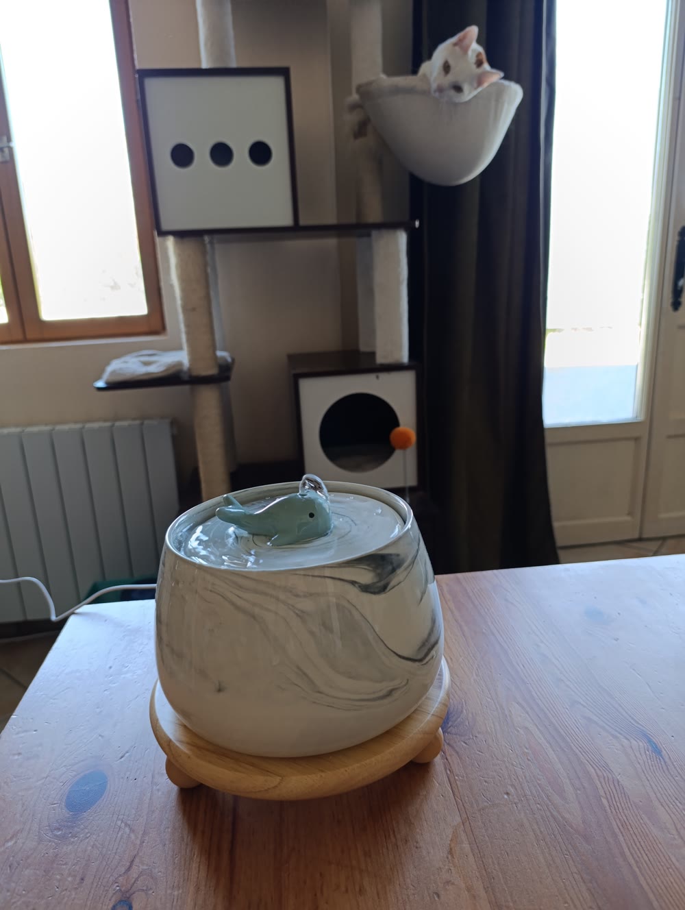 La fontaine COSYFUR sur son socle en bois dans un salon, un chat perché en arrière-plan